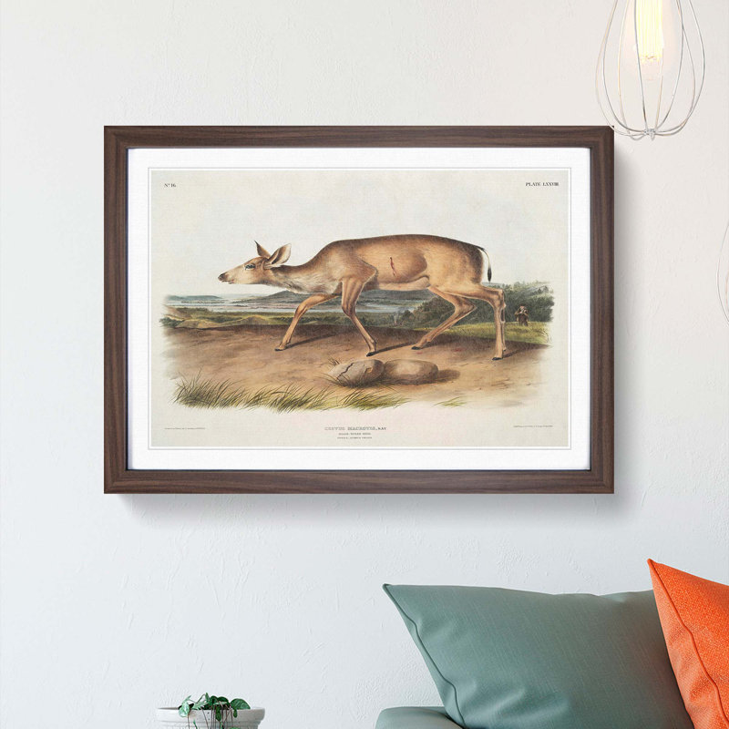 Hunted Black-Tailed Deer by J.W. Audubon - Framed Print, Walnut Framed, 48cm H x 65cm W x 2cm D