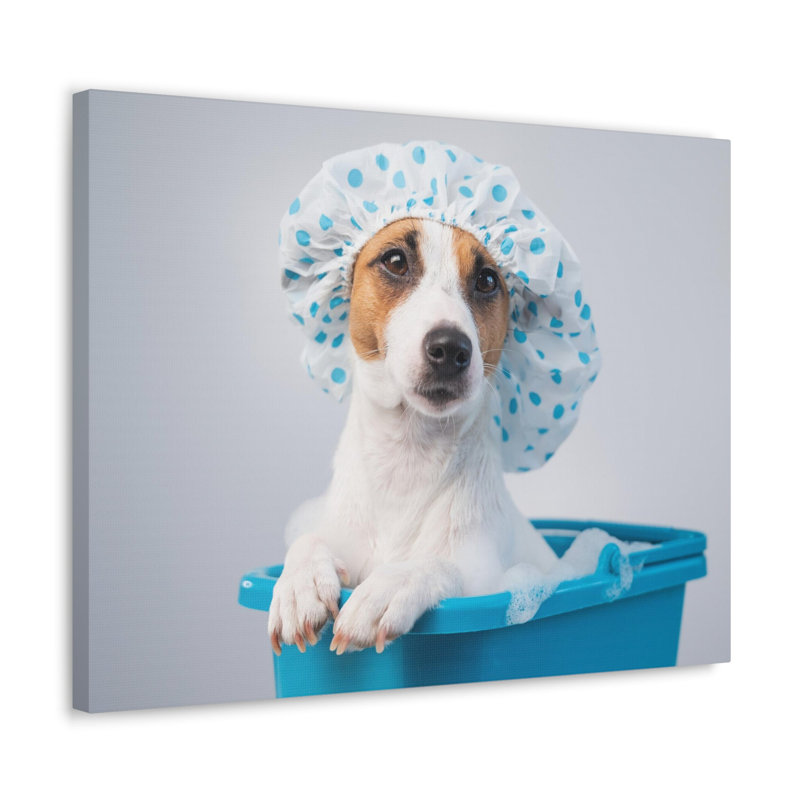 No Frame Print on Canvas, 45.72cm H x 60.96cm W