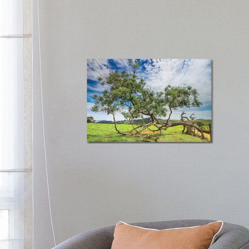Landscape 20 by Glauco Meneghelli - Wrapped Canvas Print