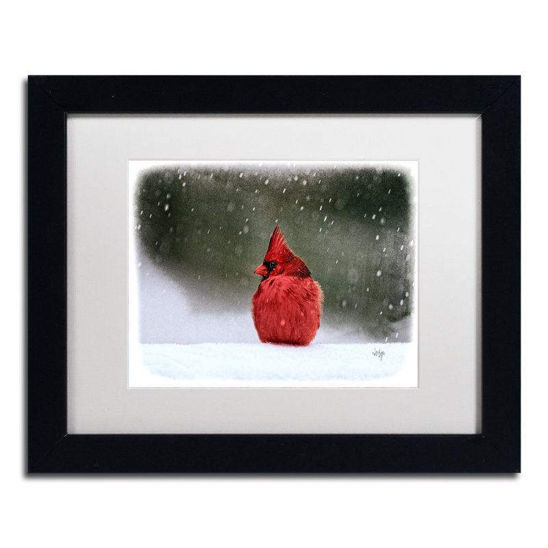 «A Ruby in the Snow», reproduction de photo encadrée en noir mat sur toile, H 11 po x l 14 po x P 0,5 po, Cadre noir, Blanc