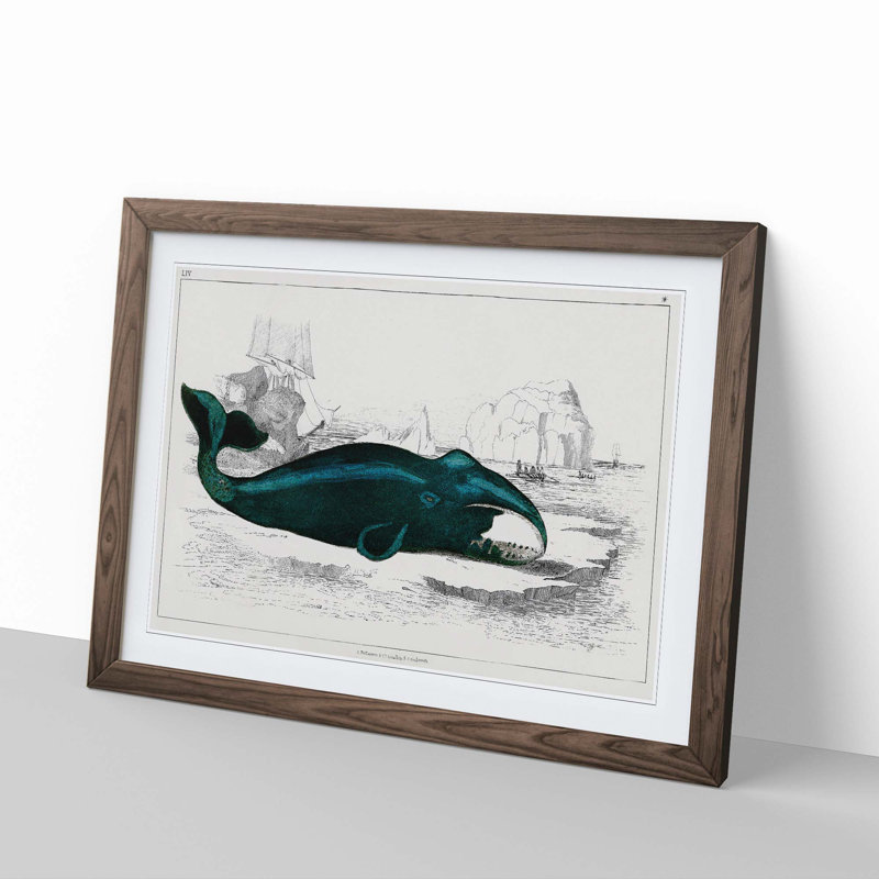 Beached Whale by Oliver Goldsmith - Single Picture Frame Painting, 45cm H x 63cm W x 2cm D, Walnut Framed