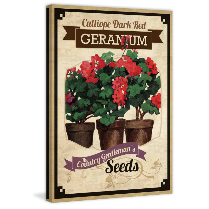 Flower Packet Geranium - Wrapped Canvas Print, 91 cm H x 61 cm W