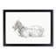 A Resting Goat by Jean Bernard - Framed Print-55450873-55450875
