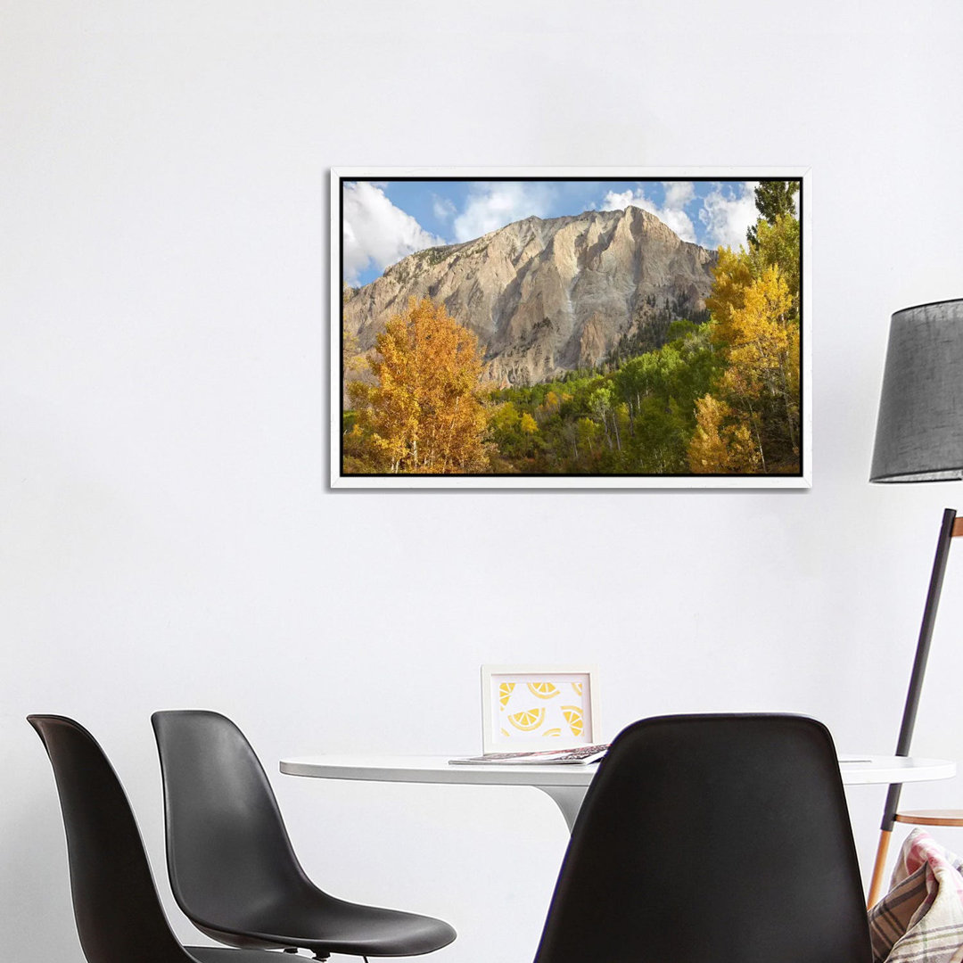 Marcellina Mountain Near Crested Butte, Colorado von Tim Fitzharris - Galerie-verpackte Leinwand Giclée auf Leinwand