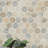 Montessa Sora Hexagon 11 in. x 13 in. Glossy Glass Mosaic Floor and Wall Tile