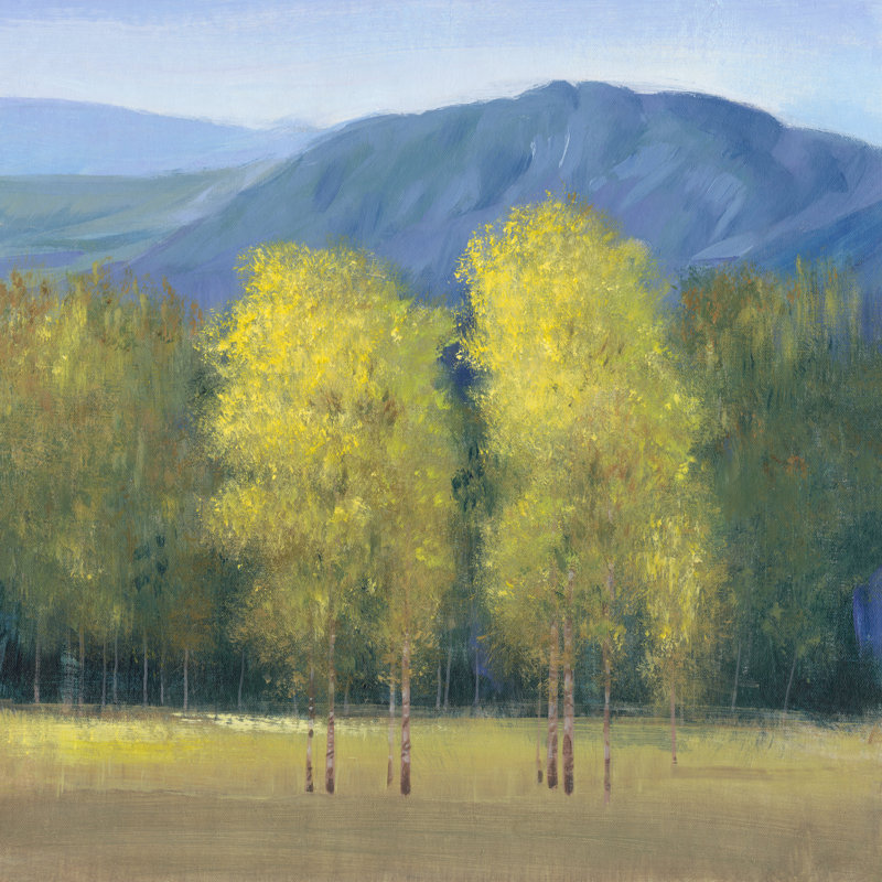 Shaft Of Light II by Tim OToole - Wrapped Canvas Painting, 30cm H x 30cm W