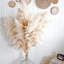 10 pièces de 40 po de hauteur herbe de pampas - Pompas floral