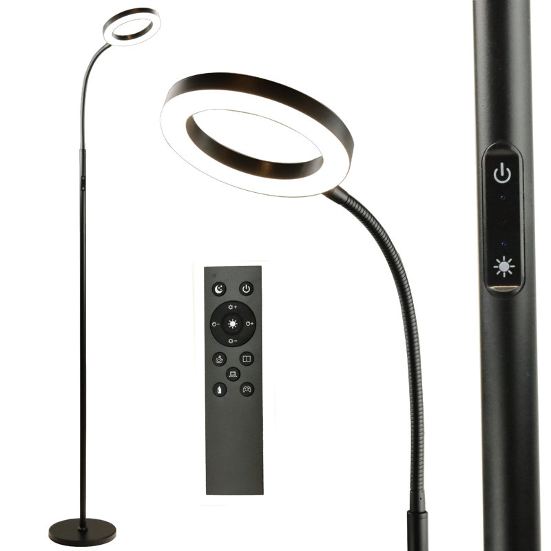 Akib 65'' Black LED Task Floor Lamp