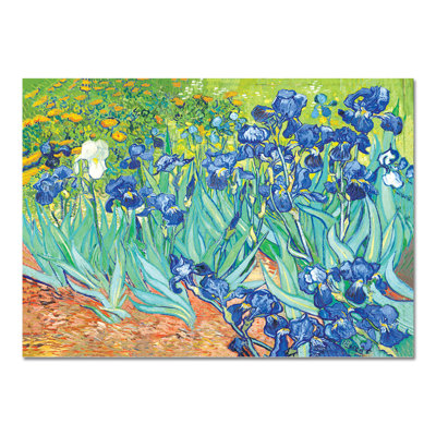 Iris by Vincent Van Gogh - 1 Piece Painting