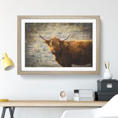 Highland Bull Cow Vol.2 - Framed Print