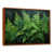 Brown Floater Framed
