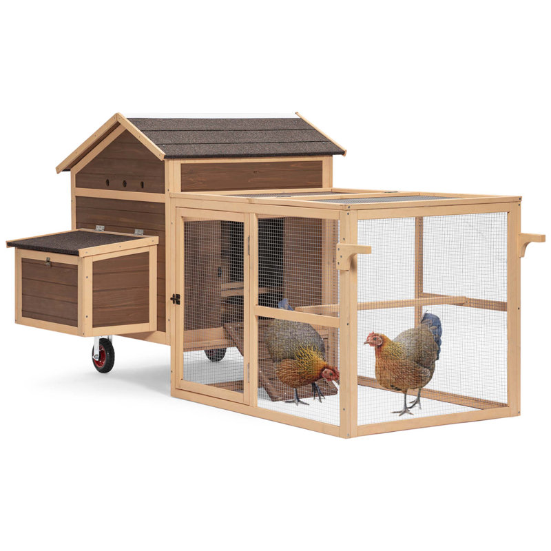 Cage à poulet avec rampe Darek