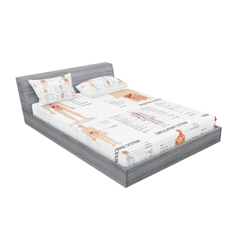 Microfiber Sheet Set, Full Sheet Set + 2 Pillowcases