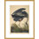 «Great Blue Heron from The Birds of America» par John James Audubon, impression giclée encadrée
