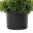 2PC Artificial Plants Indoor