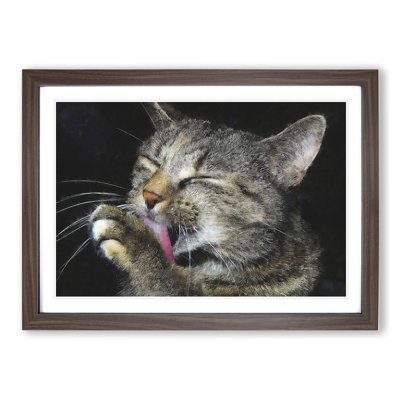 Portrait of a Cat Vol.11 - Framed Print