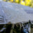 Tent-98431986-98431989