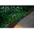Hardy Island Brown Low Voltage Metal Pathway Light