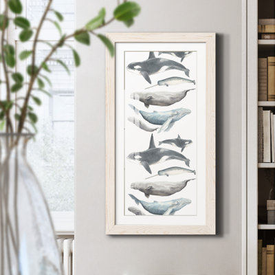 Watercolor Whale Collection B - Single Picture Frame Graphic Art