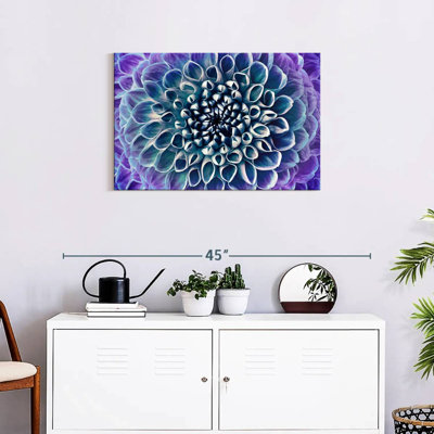 Dahlia Harnek bleu mauve