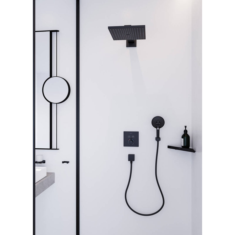 Hansgrohe AddStoris Toothbrush Tumbler, Brushed Black Chrome