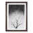Walnut Framed