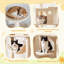 168cm H Cat Tree
