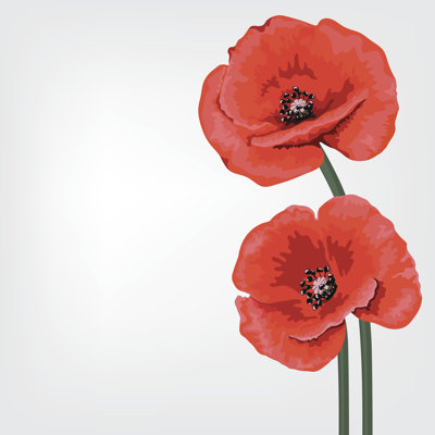 Coquelicot sur fond floral - Illustration - Photographie sur toile tendue