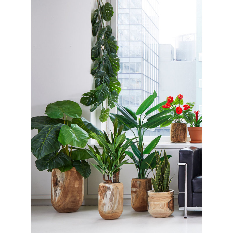 Pot à fleurs en bois Natale