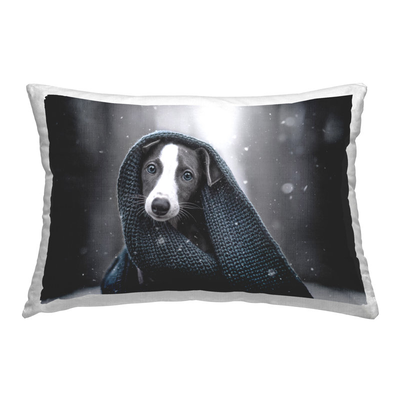 Coussin décoratif Cozy Dog with Scarf par Natalie Grosse
