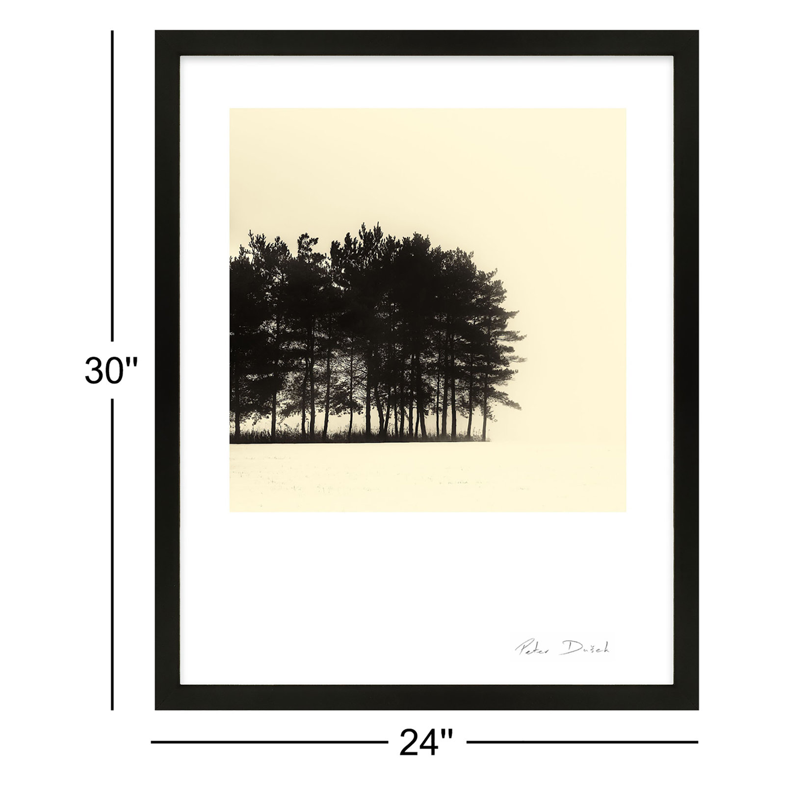 Garden Sign "Copse" Print by Peter Dušek, Black, 30" H x 24" W x 1.25" D