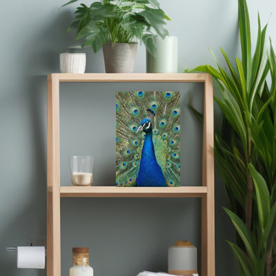 The Peacock Contemporary Bird Wall Art
