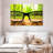 Alcaraz Forest Vision-107676747