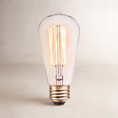 40 Watt, A19 Incandescent Dimmable Light Bulb, Warm White (2200K) E26/Medium (Standard) Base