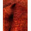 Tapis unique noué à la main Vibrance - orange, 3 pi 10 po x 6 pi 3 po