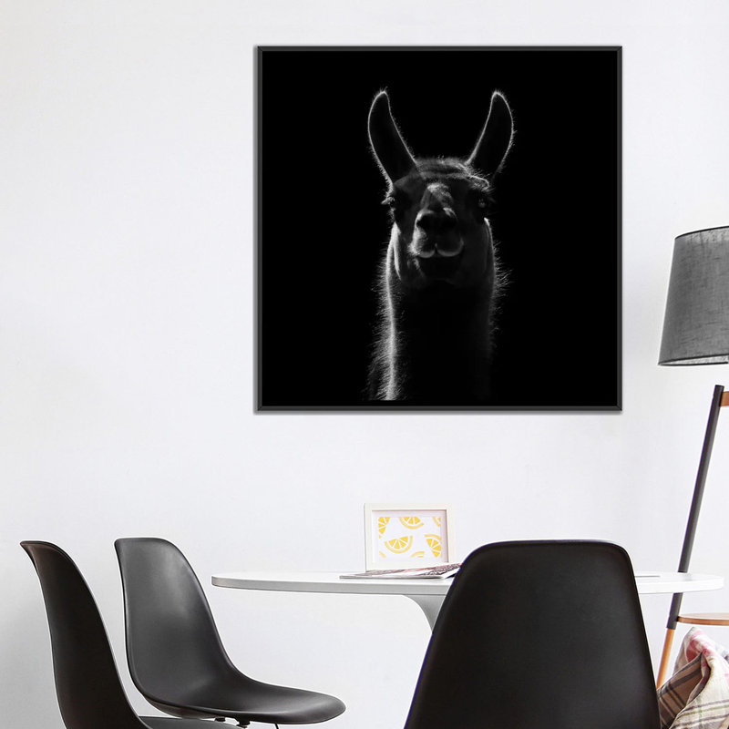 « llama », impression sur toile, H 18 po x l 18 po x P 1,5 po, Toile avec cadre noir, Pas de tapis