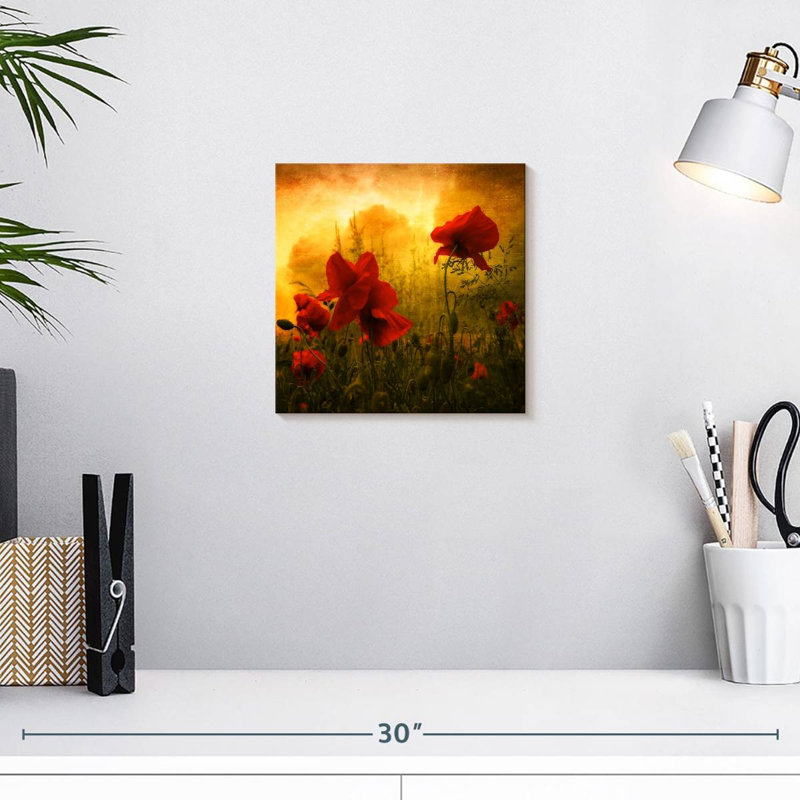 Coquelicots rouges Harnek au coucher du soleil, H 10 po x l 10 po