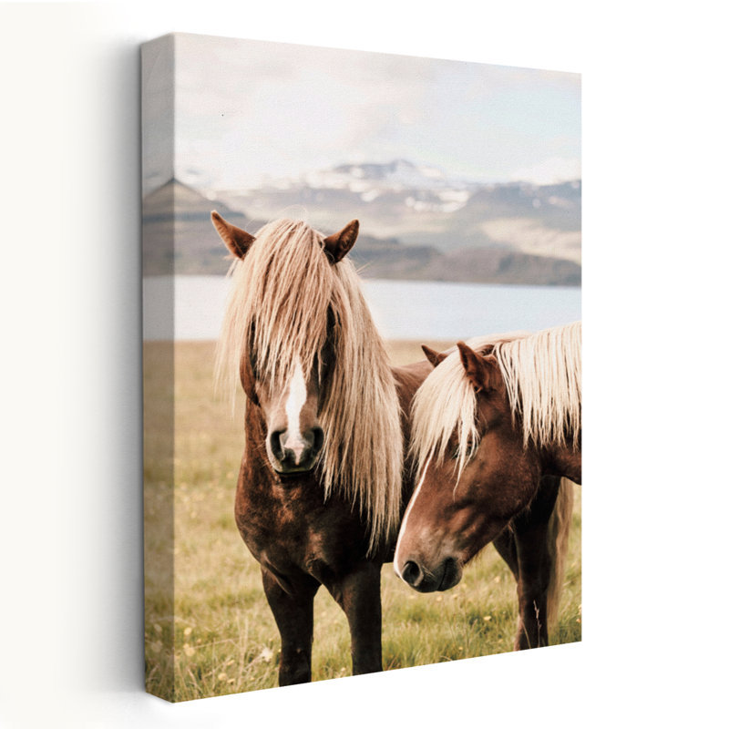 Abana - Photographie Animaux, Chevaux, Nature, Art animalier, H 24 po x l 16 po