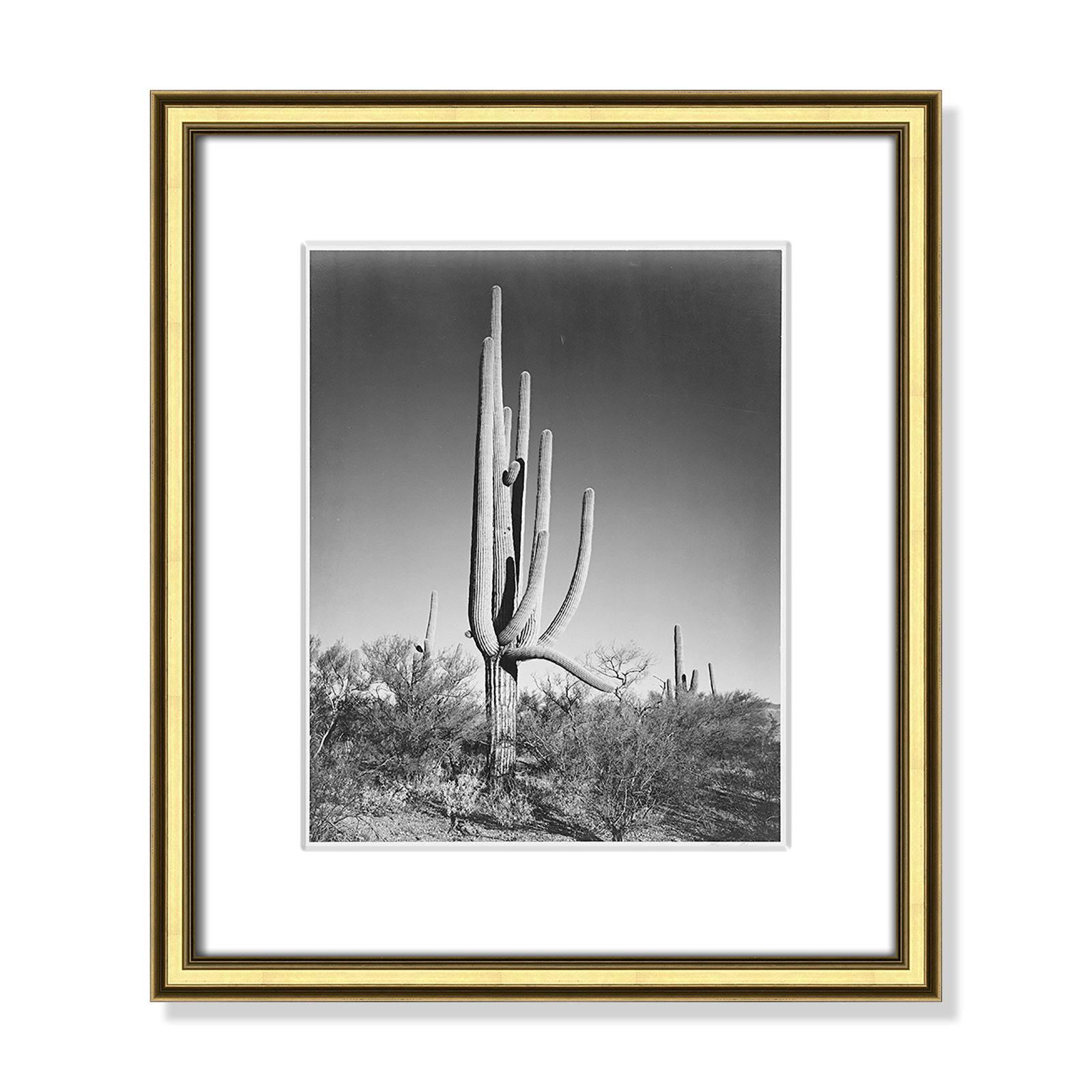 Saguaro National Monument Print by Ansel Adams, Gold , 16.25" H x 14.25" W x 0.88" D