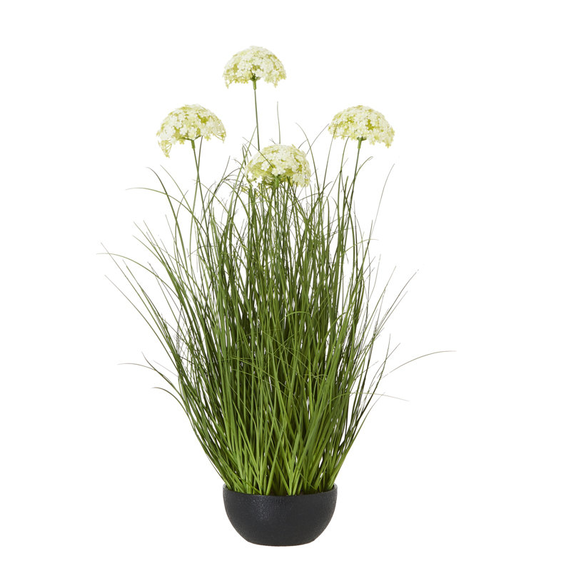 Andaiye 120cm Plant in Pot