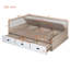 Daybed with Three Drawers and Three Storage Compartments-1820971213-1820971214