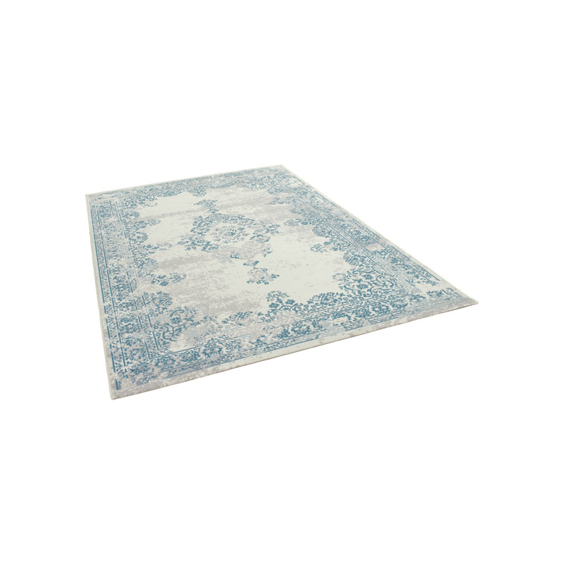 Hibner Oriental Area Rug, Rectangle 80 x 150cm