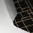 Trellis Black Indoor and Outdoor Area Rug-242570067