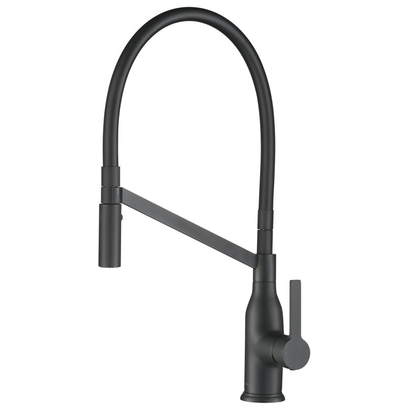 Latitude Run® Murray Kitchen Faucet, Matte Black