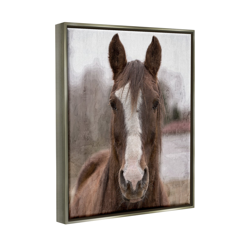 Portrait de cheval Colt, Cadre flottant gris lustré, H 21 po x l 17 po x P 1,7 po