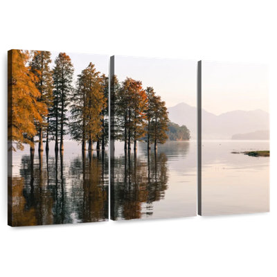 Harnek Metasequoia Lake Reflection