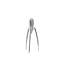 Juicy Salif Citrus Squeezer