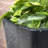 Step2 Bridgeview Square Tall Tapered Plastic Outdoor Planter-96916908-83462875