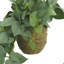 Meda Faux Ivy Plant in Pot