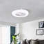 Ceiling Fan with LED Lights
